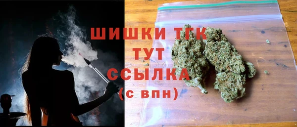 амф Володарск