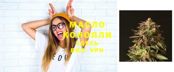 молекула духа Вязьма