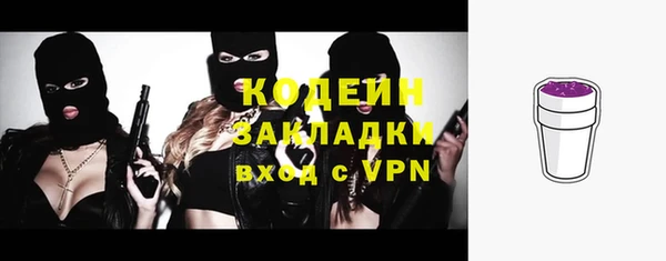 молекула духа Вязьма
