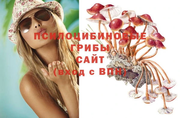 молекула духа Вязьма