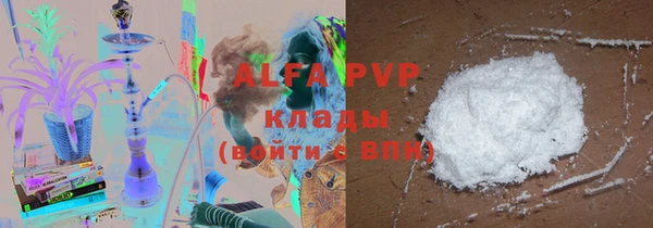 молекула духа Вязьма
