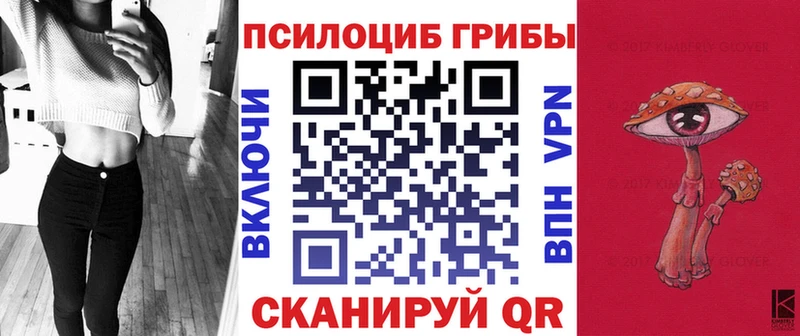 hydra зеркало  Гусь-Хрустальный  Галлюциногенные грибы Psilocybine cubensis  закладка 