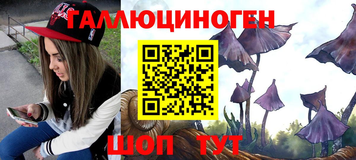 Гусь-Хрустальный  Галлюциногенные грибы мухоморы  хочу   Вход с VPN 