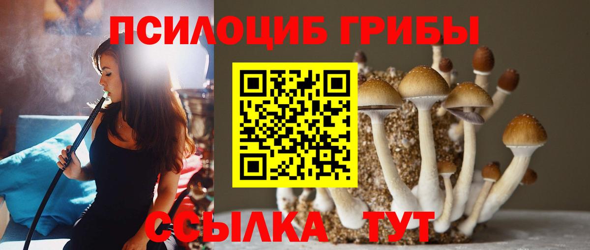 Псилоцибиновые грибы Cubensis Гусь-Хрустальный